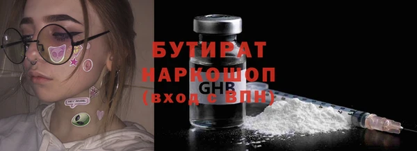 дживик Няндома