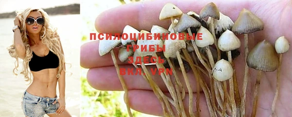 каннабис Новозыбков