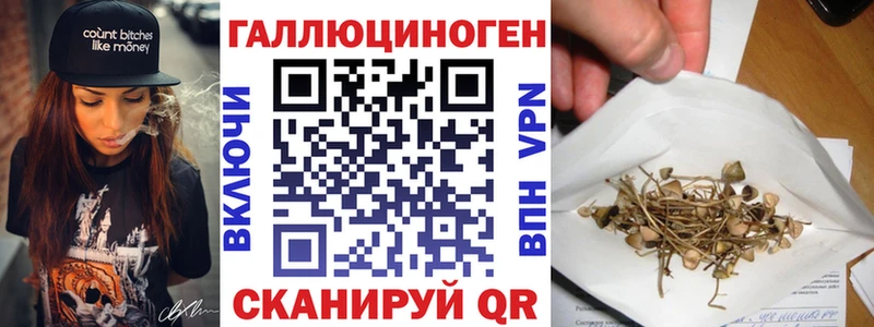 где купить наркоту  Лукоянов  Галлюциногенные грибы Psilocybine cubensis 